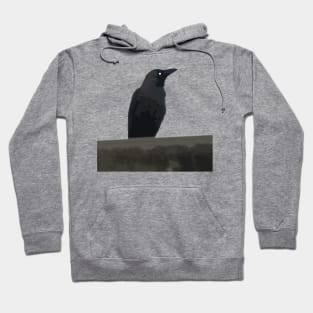 Lonely Crow Hoodie